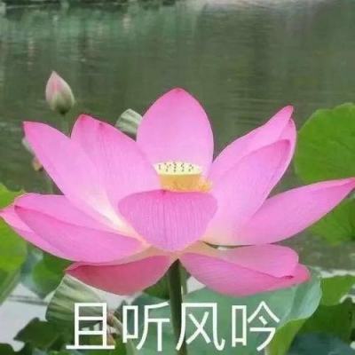 【境内疫情观察】辽宁新增60例本土病例（11月13日）